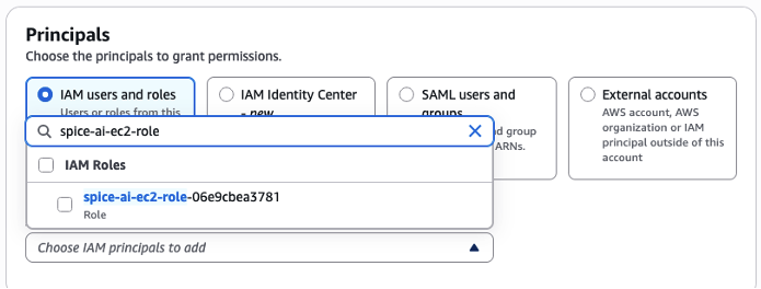 Choose IAM principals